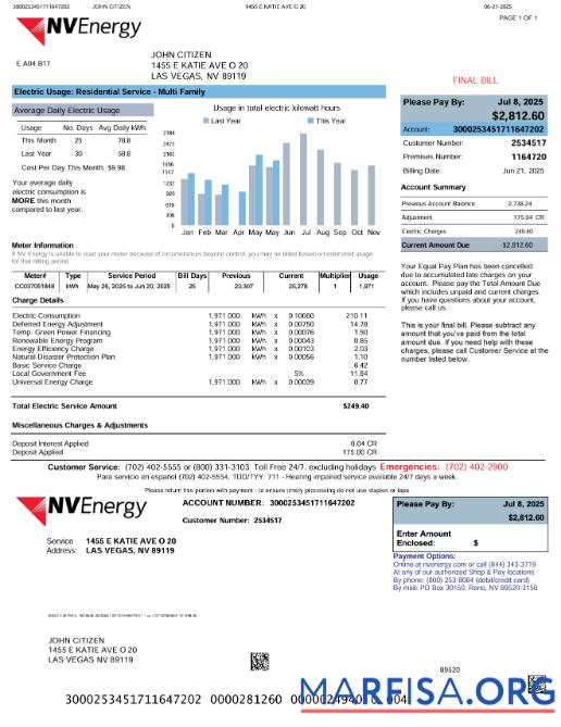 Printable USA NV Energy utility bill template in Word and PDF formats, version 2